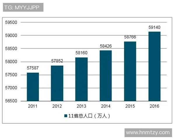 上海羽毛球队灵活性分析与表现评估的综合研究报告